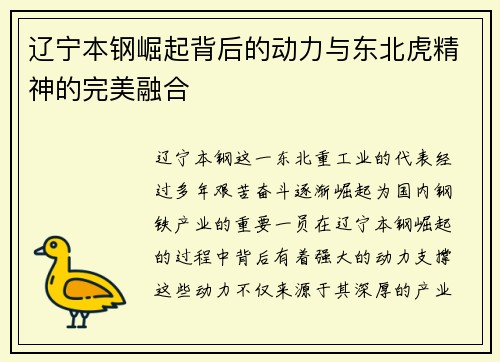 辽宁本钢崛起背后的动力与东北虎精神的完美融合