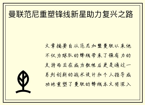 曼联范尼重塑锋线新星助力复兴之路